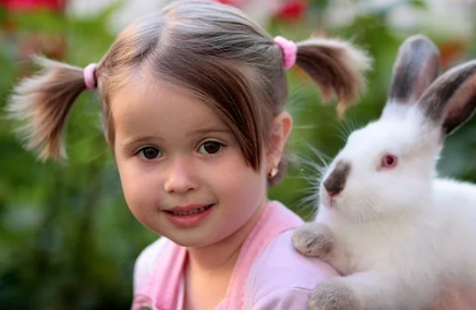 Rabbit Diseases That Can Affect Humans and Rabbits